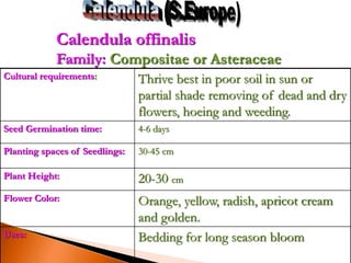 Cultural requirements: Thrive best in poor soil in sun or
partial shade removing of dead and dry
flowers, hoeing and weeding.
Seed Germination time: 4-6 days
Planting spaces of Seedlings: 30-45 cm
Plant Height: 20-30 cm
Flower Color: Orange, yellow, radish, apricot cream
and golden.
Uses: Bedding for long season bloom
Calendula offinalis
Family: Compositae or Asteraceae
 