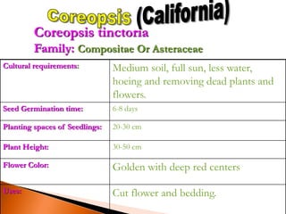 Cultural requirements: Medium soil, full sun, less water,
hoeing and removing dead plants and
flowers.
Seed Germination time: 6-8 days
Planting spaces of Seedlings: 20-30 cm
Plant Height: 30-50 cm
Flower Color: Golden with deep red centers
Uses: Cut flower and bedding.
Coreopsis tinctoria
Family: Compositae Or Asteraceae
 