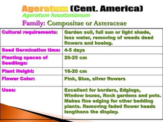 Cultural requirements: Garden soil, full sun or light shade,
less water, removing of weeds dead
flowers and hoeing.
Seed Germination time: 4-5 days
Planting spaces of
Seedlings:
20-25 cm
Plant Height: 16-20 cm
Flower Color: Pink, Blue, silver flowers
Uses: Excellent for borders, Edgings,
Window boxes, Rock gardens and pots.
Makes fine edging for other bedding
plants. Removing faded flower heads
lengthens the display.
Ageratum houstonianum
Family: Compositae or Asteraceae
 