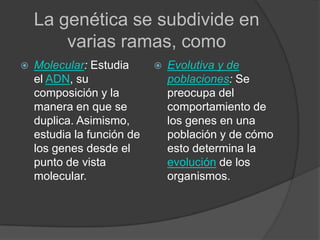 La genética se subdivide en                  varias ramas, comoMolecular: Estudia el ADN, su composición y la manera en que se duplica. Asimismo, estudia la función de los genes desde el punto de vista molecular.Evolutiva y de poblaciones: Se preocupa del comportamiento de los genes en una población y de cómo esto determina la evolución de los organismos.
