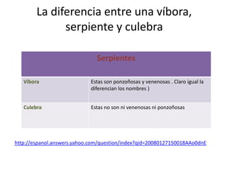 La diferencia entre una víbora, serpiente y culebra  http://espanol.answers.yahoo.com/question/index?qid=20080127150018AAo0dnE 