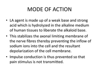 MODE OF ACTION 
• LA agent is made up of a weak base and strong 
acid which is hydrolyzed in the alkaline medium 
of human tissues to liberate the alkaloid base. 
• This stabilizes the axonal limiting membrane of 
the nerve fibres thereby preventing the inflow of 
sodium ions into the cell and the resultant 
depolarization of the cell membrane. 
• Impulse conduction is thus prevented so that 
pain stimulus is not transmitted. 
 
