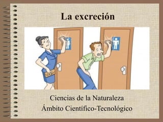 La excreción

Ciencias de la Naturaleza
Ámbito Científico-Tecnológico

 