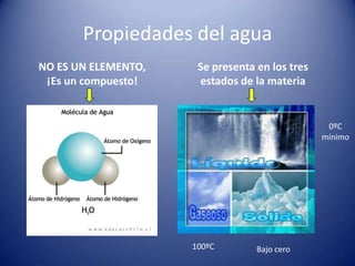 Propiedades del agua
NO ES UN ELEMENTO,
¡Es un compuesto!

Se presenta en los tres
estados de la materia

0ºC
mínimo

100ºC

Bajo cero

 