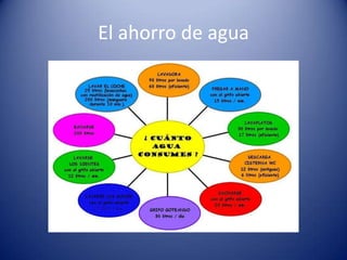 El ahorro de agua

 