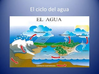 El ciclo del agua

 