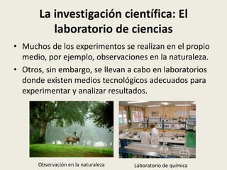 La investigación científica: El
laboratorio de ciencias
• Muchos de los experimentos se realizan en el propio
medio, por ejemplo, observaciones en la naturaleza.
• Otros, sin embargo, se llevan a cabo en laboratorios
donde existen medios tecnológicos adecuados para
experimentar y analizar resultados.

Observación en la naturaleza

Laboratorio de química

 