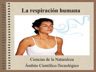 La respiración humana

Ciencias de la Naturaleza
Ámbito Científico-Tecnológico

 