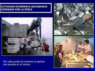 ACTIVIDAD ECONÓMICA SECUNDARIA GENERADA POR LA PESCA Por cada puesto de marinero se genera tres puestos en el interior. 
