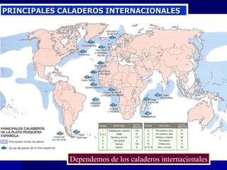 PRINCIPALES CALADEROS INTERNACIONALES Dependemos de los caladeros internacionales 