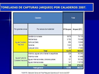 TONELADAS DE CAPTURAS (ARQUEO) POR CALADEROS 2007. 