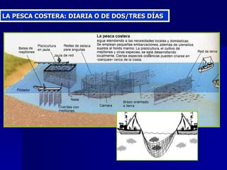 LA PESCA COSTERA: DIARIA O DE DOS/TRES DÍAS 