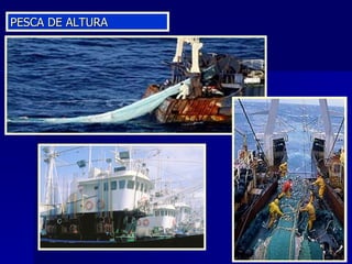 PESCA DE ALTURA 