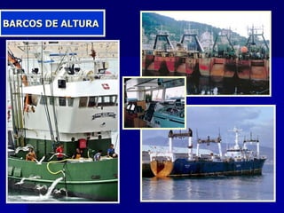 BARCOS DE ALTURA 