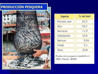 PRODUCCIÓN PESQUERA 