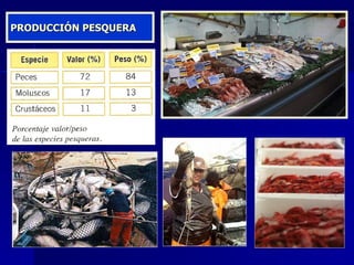 PRODUCCIÓN PESQUERA 