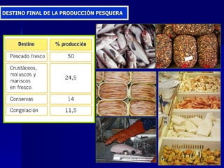 DESTINO FINAL DE LA PRODUCCIÓN PESQUERA 