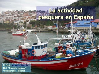 La actividad pesquera en España © Prof.   Alfredo García . IES “Dionisio Aguado”, Fuenlabrada, Madrid 