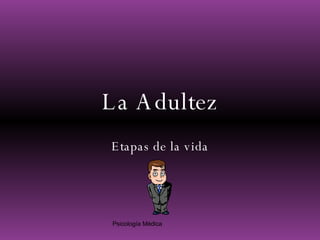 La Adultez Etapas de la vida 