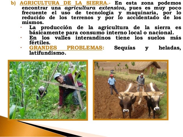 La agricultura en el Perú