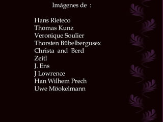 Imágenes de  : Hans Rieteco Thomas Kunz Veronique Soulier Thorsten Bübelbergusex Christa  and  Berd Zeitl J. Ens J Lowrence Han Wilhem Prech Uwe Möokelmann 