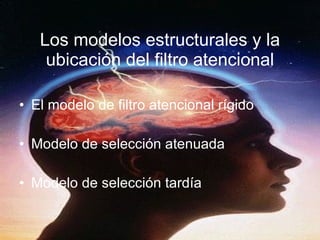 Los modelos estructurales y la ubicación del filtro atencional El modelo de filtro atencional rígido Modelo de selección atenuada Modelo de selección tardía 