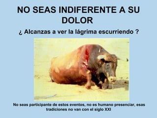 NO SEAS INDIFERENTE A SU DOLOR   ¿ Alcanzas a ver la lágrima escurriendo ?   No seas participante de estos eventos, no es humano presenciar, esas tradiciones no van con el siglo XXI   