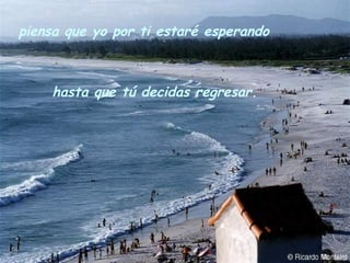 piensa que yo por ti estaré esperando hasta que tú decidas regresar. 