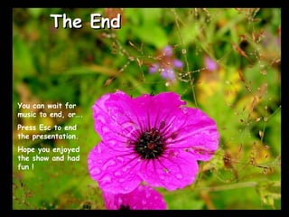 The End You can wait for music to end, or…. Press Esc to end the presentation. Hope you enjoyed the show and had fun !