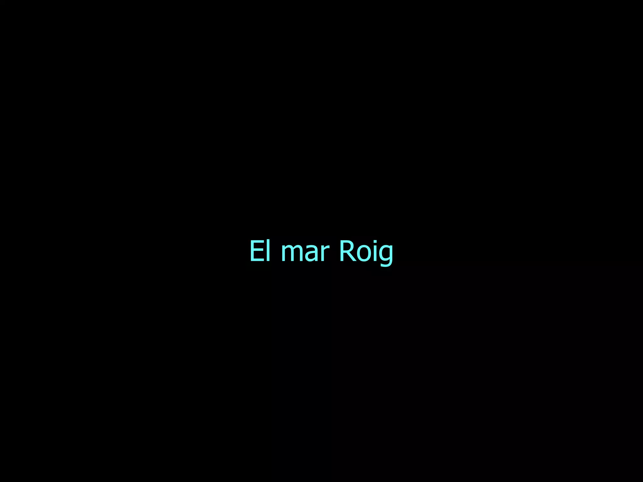 El mar Roig 