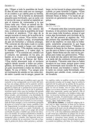 año. 3 Digan a toda la asamblea de Israel:
El diez de este mes cada uno se consegui-
rá un cordero o un cabrito para su familia,
uno por casa. 4 Si la familia es demasiado
pequeña para terminarlo, que se junte con
el vecino de casa; el animal se repartirá se-
gún el número de comensales y lo que
coma cada uno. 5 Será un animal sin de-
fecto, macho, de un año, cordero o cabrito.
6 Lo guardarán hasta el día catorce del
mes, y entonces toda la asamblea de Israel
lo matará al atardecer. 7 Con algo de la
sangre rociarán el marco de la puerta de la
casa donde lo coman. 8 Esa noche come-
rán la carne, asada a fuego, acompañada
de pan sin fermentar y verduras amargas.
9 No comerán de ella nada crudo ni cocido
en agua, sino asado a fuego: con cabeza,
patas y entrañas. 10 No dejarán restos para
la mañana siguiente, y si sobra algo, lo
quemarán. 11 Y lo comerán así: ceñidos con
el cinturón, las sandalias en los pies, un
bastón en la mano; y lo comerán rápida-
mente, porque es la Pascua del Señor.
12 Esa noche atravesaré todo el territorio
egipcio dando muerte a todos sus primo-
génitos, de hombres y de animales; y daré
un justo escarmiento a todos los dioses de
Egipto. Yo soy el Señor. 13 La sangre será
su contraseña de ustedes en las casas don-
de estén: cuando vea la sangre, pasaré de
largo; no los tocará la plaga exterminadora
cuando yo pase hiriendo a Egipto. 14 Este
día será para ustedes memorable, en él ce-
lebrarán ﬁesta al Señor. Y lo harán de ge-
neración en generación como una ley per-
petua.
Los Ázimos
(Nm 9,11; 1 Cor 5,7s)
15 –Durante siete días comerán panes sin
levadura; el día primero harán desaparecer
de sus casas toda levadura, porque el que
coma algo fermentado será excluido de Is-
rael. Así del primero al séptimo día. 16 El
día primero hay asamblea litúrgica y tam-
bién el día séptimo: en esos días no traba-
jarán; solamente prepararán lo que haga
falta a cada uno para comer. 17 Ustedes ce-
lebrarán la ﬁesta de los Ázimos, porque en
ese día sacó el Señor a sus escuadrones de
Egipto. Harán ﬁesta ese día: esto es ley per-
petua para todas sus generaciones. 18 Des-
de la tarde del día catorce del mes primero
a la tarde del día veintiuno comerán panes
sin levadura; 19 durante siete días no habrá
levadura en sus casas, porque quien coma
algo fermentado será excluido de la asam-
blea de Israel, sea forastero o nativo. 20 Por
lo tanto no coman nada fermentado, don-
dequiera que ustedes vivan, coman panes
sin levadura.
divino. Detrás del rito que se establece aquí y que ob-
viamente se fue conﬁgurando con el correr del tiem-
po hay una antigua práctica de los pastores seminó-
madas que acostumbraban sacriﬁcar un animal de sus
ganados la víspera de su partida hacia nuevos pastos.
Esta partida coincidía con el inicio de la primavera,
momento quizá crítico para las hembras del ganado
próximas a parir. La intención del sacriﬁcio era, en pa-
labras actuales, «encomendarse» a las divinidades de
los lugares por donde atravesarían para llegar a buen
ﬁn. El rito lo formaba entonces el sacriﬁcio del animal
selecto, la acción de asar el animal y la cena acompa-
ñada de hojas amargas y con la vestimenta apropiada
de quien va a iniciar un viaje: manto, sandalias y bas-
tón. Seguramente, la comida se realizaba con rapidez,
con la premura de quien va a partir. Finalmente, un
rito muy importante: rociar con la sangre del animal
sacriﬁcado los palos o mástiles que servían de estruc-
tura a las tiendas. En campos semidesérticos donde la
tierra no proporciona madera alguna era necesario
transportar palos o mástiles. Esta aspersión tenía en-
tonces el carácter de un exorcismo. Con ello se bus-
caba la protección divina sobre personas y animales.
Los espíritus malos no podrían entrar en las tiendas
previamente rociadas con la sangre. Aquí se cambia la
aspersión de los palos por las jambas de las puertas,
respetando así la ambientación del pueblo que se su-
pone no vive en tiendas, sino en casas, bien sea en
Egipto o ya en tierra cananea. La sangre juega aquí un
papel muy importante, puesto que gracias a ella el
«exterminador» –referencia a los antiguos malos espí-
ritus– no tocará las familias que tienen sus puertas de-
bidamente rociadas. El exterminador «saltó» esas ca-
sas. Ése podría ser uno de los sentidos etimológicos de
«pesaj»: saltar, andar dando saltos.
12,15-20 Los Ázimos. La tradición religiosa de Is-
rael unió en algún momento la ﬁesta de los Ázimos
con la Pascua, dos festividades que obviamente no
son originarias de Israel, sino de antiquísimas tribus se-
minómadas dedicadas al pastoreo –a lo que aludimos
en 12,1-14– y de otras sedentarias dedicadas al culti-
vo del cereal que celebraban un antiguo rito al inicio
de la nueva cosecha: tiraban todo lo que estuviera fer-
mentado y consumían tortas ázimas, sin levadura,
mientras se adquiría el nuevo fermento para la masa.
La ocasión era jubilosa y de ﬁesta. En muchos lugares
ÉXODO 12 106
 