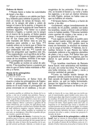 Órdenes de Moisés
21 Moisés llamó a todas las autoridades
de Israel y les dijo:
–Elijan un cordero o un cabrito por fami-
lia y mátenlo para celebrar la pascua. 22 To-
men un manojo de ramas de hisopo, mó-
jenlo en la sangre del plato y unten de
sangre el marco de la puerta, y ninguno de
ustedes salga por la puerta de casa hasta la
mañana siguiente. 23 El Señor va a pasar
hiriendo a Egipto, y cuando vea la sangre
en el marco de la puerta, el Señor pasará
de largo y no permitirá al exterminador en-
trar en sus casas para herir. 24 Cumplan
este mandato del Señor: ésta es una ley
perpetua para ustedes y sus hijos. 25 Y
cuando entren en la tierra que el Señor les
va a dar, según lo prometido, deberán se-
guir celebrando este rito. 26 Y cuando sus
hijos les pregunten qué signiﬁca este rito,
27 les responderán: es el sacriﬁcio de la Pas-
cua del Señor. Él pasó en Egipto, junto a las
casas de los israelitas, hiriendo a los egip-
cios y protegiendo nuestras casas.
28 El pueblo se inclinó en señal de ado-
ración. Y los israelitas fueron y pusieron por
obra lo que el Señor había mandado a Moi-
sés y a Aarón.
Muerte de los primogénitos
y salida de Israel
(Sab 18,5-19; Sal 105,36-38)
29 A medianoche, el Señor hirió de
muerte a todos los primogénitos de Egipto:
desde el primogénito del faraón que se
sienta en el trono hasta el primogénito del
preso encerrado en el calabozo, y los pri-
mogénitos de los animales. 30 Aún de no-
che, se levantó el faraón y su corte y todos
los egipcios, y se oyó un clamor inmenso
en todo Egipto, porque no había casa en
que no hubiera un muerto.
31 El faraón llamó a Moisés y a Aarón de
noche, y les dijo:
–Levántense, salgan inmediatamente de
en medio de mi pueblo, ustedes con todos
los israelitas, vayan a ofrecer culto al Señor
como lo habían pedido; 32 llévense también
como querían las ovejas y las vacas y vá-
yanse. Y rueguen a Dios por mí.
33 Los egipcios apuraban al pueblo para
que saliese cuanto antes del país, porque
temían morir todos. 34 El pueblo sacó la
masa sin fermentar, la envolvió en mantas
y se la cargó al hombro. 35 Además, los is-
raelitas hicieron lo que Moisés les había
mandado: pidieron a los egipcios utensilios
de plata y oro y ropa; 36 el Señor hizo que
se ganaran el favor de los egipcios, que les
dieron lo que pedían. Así despojaron a
Egipto.
37 Los israelitas marcharon de Ramsés
hacia Sucot: eran seiscientos mil hombres
de a pie, sin contar los niños; 38 y les seguía
una turba inmensa, con ovejas y vacas y
enorme cantidad de ganado.
39 Como no habían tenido tiempo de
preparar comida cocieron la masa que ha-
bían sacado de Egipto haciendo tortas de
pan ázimo, ya que no había fermentado,
porque los egipcios los echaban y no po-
dían detenerse y tampoco se llevaron pro-
visiones.
de nuestros pueblos se celebran las «ﬁestas de la co-
secha», y ése era el sentido más primitivo. Pascua y
Ázimos se unen en Israel adquiriendo un nuevo refe-
rente: la gesta liberadora del Señor a favor de su pue-
blo. Ambas ﬁestas involucraban en sus orígenes algún
sentido religioso: liberar a personas y ganados de las
malas inﬂuencias; por su parte, los agricultores espe-
raban que su próxima cosecha fuera también liberada
de toda inﬂuencia negativa: sequías, ladrones, que-
mas, etc. En Israel, ambos sentidos se combinan en
uno solo, se «teologizan»: Dios libró al pueblo del po-
der mortal y asesino del faraón.
12,21-28 Órdenes de Moisés. Continúan los pre-
parativos para la Pascua y para la partida del país de
la opresión. El acento principal de este pasaje está en
la orden de untar el marco de las puertas con la san-
gre del animal sacriﬁcado. Además, se insiste en que
nadie se mueva de su casa, dado que esa noche pa-
sará el exterminador, quien tendrá como única con-
traseña para dejar algo intacto la sangre en las casas de
los israelitas. El evento de esa noche se repite año tras
año en cada familia judía: el niño de la casa pregunta
al mayor de todos: ¿Qué signiﬁca todo esto? (26). La
respuesta es un memorial que revive y actualiza los
acontecimientos de la liberación de Egipto. En nuestra
celebración pascual de cada año celebramos también
el acto liberador deﬁnitivo de Jesús y debería ser el
momento de echar a andar y revisar ese proyecto li-
berador de Jesús.
12,29-42 Muerte de los primogénitos y salida de
Israel. Aquí se retoma la interrumpida narración de
11,1-3 para dar paso a las prescripciones sobre la Pas-
cua. Se resalta el clamor de los hebreos como en 3,7,
donde el Señor intervenía al escuchar el clamor de los
107 ÉXODO 12
 