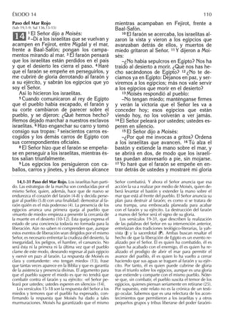 Paso del Mar Rojo
(Sab 19,1-9; Sal 136,13-15)
1 El Señor dijo a Moisés:
2 –Di a los israelitas que se vuelvan y
acampen en Fejirot, entre Migdal y el mar,
frente a Baal-Safón; pongan los campa-
mentos mirando al mar. 3 El faraón pensará
que los israelitas están perdidos en el país
y que el desierto les cierra el paso. 4 Haré
que el faraón se empeñe en perseguirlos, y
me cubriré de gloria derrotando al faraón y
a su ejército, y sabrán los egipcios que yo
soy el Señor.
Así lo hicieron los israelitas.
5 Cuando comunicaron al rey de Egipto
que el pueblo había escapado, el faraón y
su corte cambiaron de parecer sobre el
pueblo, y se dijeron: ¿Qué hemos hecho?
Hemos dejado marchar a nuestros esclavos
israelitas. 6 Hizo enganchar su carro y tomó
consigo sus tropas: 7 seiscientos carros es-
cogidos y los demás carros de Egipto con
sus correspondientes oﬁciales.
8 El Señor hizo que el faraón se empeña-
se en perseguir a los israelitas, mientras és-
tos salían triunfalmente.
9 Los egipcios los persiguieron con ca-
ballos, carros y jinetes, y les dieron alcance
14
mientras acampaban en Fejirot, frente a
Baal-Safón.
10 El faraón se acercaba, los israelitas al-
zaron la vista y vieron a los egipcios que
avanzaban detrás de ellos, y muertos de
miedo gritaron al Señor. 11 Y dijeron a Moi-
sés:
–¿No había sepulcros en Egipto? Nos ha
traído al desierto a morir. ¿Qué nos has he-
cho sacándonos de Egipto? 12 ¿No te de-
cíamos ya en Egipto: Déjanos en paz, y ser-
viremos a los egipcios; más nos vale servir
a los egipcios que morir en el desierto?
13 Moisés respondió al pueblo:
–No tengan miedo; manténganse ﬁrmes
y verán la victoria que el Señor les va a
conceder hoy; esos egipcios que están
viendo hoy, no los volverán a ver jamás.
14 El Señor peleará por ustedes; ustedes es-
peren en silencio.
15 El Señor dijo a Moisés:
–¿Por qué me invocas a gritos? Ordena
a los israelitas que avancen. 16 Tú alza el
bastón y extiende la mano sobre el mar, y
se abrirá en dos, de modo que los israeli-
tas puedan atravesarlo a pie, sin mojarse.
17 Yo haré que el faraón se empeñe en en-
trar detrás de ustedes y mostraré mi gloria
14,1-31 Paso del Mar Rojo. Los israelitas han parti-
do. Las estrategias de la marcha son conducidas por el
mismo Señor, quien, además, hace que de nuevo se
endurezca el corazón del faraón (4-8) y decida perse-
guir al pueblo (5.8) con una ﬁnalidad: demostrar al fa-
raón quién es el más poderoso (4). La presencia de los
egipcios arranca una primera queja al pueblo que
«muerto de miedo» empieza a presentir la cercanía de
la muerte en el desierto (10-12). Esta queja expresa el
estado de una conciencia todavía no formada para la
liberación. Aún no saben ni comprenden que, aunque
estos eventos de liberación sean dirigidos por el mismo
Señor, es necesario enfrentar la crudeza del desierto, la
inseguridad, los peligros, el hambre, el cansancio. No
será ésta ni la primera ni la última vez que el pueblo
clame de este modo, deseando regresar al país egipcio
y «servir en paz» al faraón. La respuesta de Moisés es
clara y contundente: «no tengan miedo» (13), frase
que tantas veces aparece en la Biblia y que es garantía
de la asistencia y presencia divinas. El argumento para
que el pueblo supere el miedo es que no tendrá que
combatir contra el faraón y su ejército: «el Señor pe-
leará por ustedes; ustedes esperen en silencio» (14).
Los versículos 15-18 son la respuesta del Señor a los
miedos y temores que el pueblo ha expresado, con-
ﬁrmando la respuesta que Moisés ha dado a tales
murmuraciones. Moisés ha garantizado que el mismo
Señor combatirá. Y ahora el Señor anuncia que esa
acción la va a realizar por medio de Moisés, quien de-
berá levantar el bastón y extender la mano sobre el
mar que está al frente del pueblo. El Señor anuncia su
plan para destruir al faraón; es como si se tratara de
una trampa, una emboscada planeada para acabar
con el faraón y su ejército. La destrucción del faraón
a manos del Señor será el signo de su gloria.
Los versículos 19-31, que describen la realización
de las palabras del Señor en su intervención anterior,
entrelazan dos tradiciones teológico-literarias, la yah-
vista (J) y la sacerdotal (P). Ambas buscan resaltar el
hecho de que la liberación de Egipto es un evento re-
alizado por el Señor. Él es quien ha combatido, él es
quien ha acabado con el enemigo, él es quien ha re-
alizado el prodigio de abrir el mar para permitir el
avance del pueblo, él es quien lo ha vuelto a cerrar
haciendo que sus aguas se traguen al faraón y su ejér-
cito. Por tanto, él es quien puede cubrirse de gloria
tras el triunfo sobre los egipcios, aunque es una gloria
que extiende y comparte con el mismo pueblo. Nóte-
se que, sin combatir, el pueblo suscita el temor de los
egipcios, quienes piensan seriamente en retirarse (25).
Por supuesto, este relato no es la crónica de un testi-
go ocular. Sabemos que es una relectura de los acon-
tecimientos que permitieron a los israelitas y a otros
pequeños grupos y tribus liberarse del poder faraóni-
ÉXODO 14 110
 