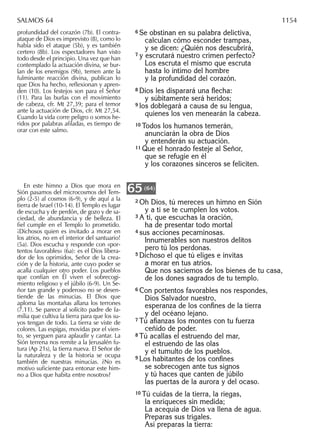 La biblia-de-nuestro-pueblo