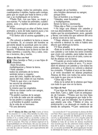 estaban contigo, todos los animales, aves,
cuadrúpedos o reptiles, hazlos salir contigo,
para que se vayan por toda la tierra y crez-
can y se multipliquen en la tierra.
18 Salió Noé, con sus hijos, su mujer y
sus nueras; 19 y todos los animales, cuadrú-
pedos, aves y reptiles salieron por grupos
del arca.
20 Noé construyó un altar al Señor, tomó
animales y aves de toda especie pura y los
ofreció en holocausto sobre el altar.
21 El Señor olió el aroma agradable y se
dijo:
–No volveré a maldecir la tierra a causa
del hombre. Sí, el corazón del hombre se
pervierte desde la juventud; pero no volve-
ré a matar a los vivientes como acabo de
hacerlo. 22 Mientras dure la tierra no han de
faltar siembra y cosecha, frío y calor, vera-
no e invierno, día y noche.
Alianza de Dios con Noé
1 Dios bendijo a Noé y a sus hijos di-
ciéndoles:
–Sean fecundos,
multiplíquense y llenen la tierra.
2 Ante ustedes
todos los animales de la tierra
sentirán temor y respeto:
aves del cielo, reptiles del suelo,
peces del mar, están en sus manos.
3 Todo lo que vive y se mueve
les servirá de alimento:
yo se los entrego
lo mismo que los vegetales.
4 Pero no coman carne con sangre,
que es su vida.
5 Yo pediré cuentas de la sangre
y la vida de cada uno de ustedes,
se las pediré a cualquier animal;
y al hombre le pediré cuentas
de la vida de su hermano.
6 Si uno derrama
9
la sangre de un hombre,
otro hombre derramará su sangre;
porque Dios
hizo al hombre a su imagen.
7 Ustedes, sean fecundos
y multiplíquense,
llenen la tierra y domínenla.
8 Dios dijo a Noé y a sus hijos:
9 –Yo hago una alianza con ustedes y
con sus descendientes, 10 con todos los ani-
males que los acompañaron: aves, ganado
y ﬁeras; con todos los que salieron del arca
y ahora viven en la tierra.
11 Hago alianza con ustedes: El diluvio
no volverá a destruir la vida ni habrá otro
diluvio que destruya la tierra.
12 Y Dios añadió:
–Ésta es la señal de la alianza que hago
con ustedes y con todos los seres vivientes
que viven con ustedes, para todas las eda-
des: 13 Pondré mi arco en el cielo, como se-
ñal de alianza con la tierra.
14 Cuando yo envíe nubes sobre la tierra,
aparecerá en las nubes el arco, 15 y recor-
daré mi alianza con ustedes y con todos los
animales, y el diluvio no volverá a destruir
los vivientes. 16 Saldrá el arco en las nubes,
y al verlo recordaré mi alianza perpetua:
Alianza de Dios con todos los seres vivos,
con todo lo que vive en la tierra.
17 Dios dijo a Noé:
–Ésta es la señal de la alianza que hago
con todo lo que vive en la tierra.
Los hijos de Noé
18 Los hijos de Noé que salieron del arca
eran Sem, Cam y Jafet –Cam es antepasa-
do de Canaán–. 19 Éstos son los tres hijos
de Noé que se propagaron por toda la tie-
rra. 20Noé, que era labrador, fue el primero
que plantó una viña. 21 Bebió el vino, se
emborrachó y se desnudó en medio de su
tienda de campaña. 22 Cam –antecesor de
9,1-17 Alianza de Dios con Noé. Como al inicio
de la creación (1,1–2,4a), Dios bendice la obra crea-
da y, de un modo muy especial, a todos los seres vi-
vientes (1-3), y confía a Noé y a su familia –como a la
primera pareja– el cuidado y la administración del res-
to de la creación. Pero hay un énfasis especial en la
responsabilidad con el hermano. De una vez sienta el
Señor su posición respecto a la violación del derecho
a la vida de cada ser viviente, pero especialmente del
hermano (5s).
Los versículos 8-17 nos presentan la alianza de Dios
con Noé. Pese a que esta narración aparece en el tex-
to antes de que se hable de Abrahán y de la alianza
con él y su descendencia (15,1-21) y mucho antes de
que se hable de la alianza en el Sinaí (Éx 19–24), en
realidad se trata de un texto de alianza muchísimo
más reciente que los dos anteriores textos citados. Se
trata de la alianza «noáquica», cuyo signo es el arco
iris. La escuela sacerdotal (P), preocupada por rescatar
la identidad de Israel y su exclusividad en el mundo,
29 GÉNESIS 9
 