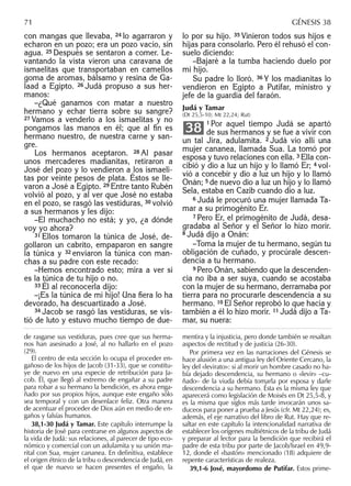 con mangas que llevaba, 24 lo agarraron y
echaron en un pozo; era un pozo vacío, sin
agua. 25 Después se sentaron a comer. Le-
vantando la vista vieron una caravana de
ismaelitas que transportaban en camellos
goma de aromas, bálsamo y resina de Ga-
laad a Egipto. 26 Judá propuso a sus her-
manos:
–¿Qué ganamos con matar a nuestro
hermano y echar tierra sobre su sangre?
27 Vamos a venderlo a los ismaelitas y no
pongamos las manos en él; que al ﬁn es
hermano nuestro, de nuestra carne y san-
gre.
Los hermanos aceptaron. 28 Al pasar
unos mercaderes madianitas, retiraron a
José del pozo y lo vendieron a los ismaeli-
tas por veinte pesos de plata. Éstos se lle-
varon a José a Egipto. 29 Entre tanto Rubén
volvió al pozo, y al ver que José no estaba
en el pozo, se rasgó las vestiduras, 30 volvió
a sus hermanos y les dijo:
–El muchacho no está; y yo, ¿a dónde
voy yo ahora?
31 Ellos tomaron la túnica de José, de-
gollaron un cabrito, empaparon en sangre
la túnica y 32 enviaron la túnica con man-
chas a su padre con este recado:
–Hemos encontrado esto; mira a ver si
es la túnica de tu hijo o no.
33 Él al reconocerla dijo:
–¡Es la túnica de mi hijo! Una ﬁera lo ha
devorado, ha descuartizado a José.
34 Jacob se rasgó las vestiduras, se vis-
tió de luto y estuvo mucho tiempo de due-
lo por su hijo. 35 Vinieron todos sus hijos e
hijas para consolarlo. Pero él rehusó el con-
suelo diciendo:
–Bajaré a la tumba haciendo duelo por
mi hijo.
Su padre lo lloró. 36 Y los madianitas lo
vendieron en Egipto a Putifar, ministro y
jefe de la guardia del faraón.
Judá y Tamar
(Dt 25,5-10; Mt 22,24; Rut)
1 Por aquel tiempo Judá se apartó
de sus hermanos y se fue a vivir con
un tal Jira, adulamita. 2 Judá vio allí una
mujer cananea, llamada Sua. La tomó por
esposa y tuvo relaciones con ella. 3 Ella con-
cibió y dio a luz un hijo y lo llamó Er; 4 vol-
vió a concebir y dio a luz un hijo y lo llamó
Onán; 5 de nuevo dio a luz un hijo y lo llamó
Sela, estaba en Cazib cuando dio a luz.
6 Judá le procuró una mujer llamada Ta-
mar a su primogénito Er.
7 Pero Er, el primogénito de Judá, desa-
gradaba al Señor y el Señor lo hizo morir.
8 Judá dijo a Onán:
–Toma la mujer de tu hermano, según tu
obligación de cuñado, y procúrale descen-
dencia a tu hermano.
9 Pero Onán, sabiendo que la descenden-
cia no iba a ser suya, cuando se acostaba
con la mujer de su hermano, derramaba por
tierra para no procurarle descendencia a su
hermano. 10 El Señor reprobó lo que hacía y
también a él lo hizo morir. 11 Judá dijo a Ta-
mar, su nuera:
38
de rasgarse sus vestiduras, pues cree que sus herma-
nos han asesinado a José, al no hallarlo en el pozo
(29).
El centro de esta sección lo ocupa el proceder en-
gañoso de los hijos de Jacob (31-33), que se constitu-
ye de nuevo en una especie de retribución para Ja-
cob. Él, que llegó al extremo de engañar a su padre
para robar a su hermano la bendición, es ahora enga-
ñado por sus propios hijos, aunque este engaño sólo
sea temporal y con un desenlace feliz. Otra manera
de acentuar el proceder de Dios aún en medio de en-
gaños y falsías humanos.
38,1-30 Judá y Tamar. Este capítulo interrumpe la
historia de José para centrarse en algunos aspectos de
la vida de Judá: sus relaciones, al parecer de tipo eco-
nómico y comercial con un adulamita y su unión ma-
rital con Sua, mujer cananea. En deﬁnitiva, establece
el origen étnico de la tribu o descendencia de Judá, en
el que de nuevo se hacen presentes el engaño, la
mentira y la injusticia, pero donde también se resaltan
aspectos de rectitud y de justicia (26-30).
Por primera vez en las narraciones del Génesis se
hace alusión a una antigua ley del Oriente Cercano, la
ley del «levirato»: si al morir un hombre casado no ha-
bía dejado descendencia, su hermano o «levir» –cu-
ñado– de la viuda debía tomarla por esposa y darle
descendencia a su hermano. Ésta es la misma ley que
aparecerá como legislación de Moisés en Dt 25,5-8, y
es la misma que siglos más tarde invocarán unos sa-
duceos para poner a prueba a Jesús (cfr. Mt 22,24); es,
además, el eje narrativo del libro de Rut. Hay que re-
saltar en este capítulo la intencionalidad narrativa de
establecer los orígenes multiétnicos de la tribu de Judá
y preparar al lector para la bendición que recibirá el
padre de esta tribu por parte de Jacob/Israel en 49,9-
12, donde el «bastón» mencionado (18) adquiere de
repente características de realeza.
39,1-6 José, mayordomo de Putifar. Estos prime-
71 GÉNESIS 38
 