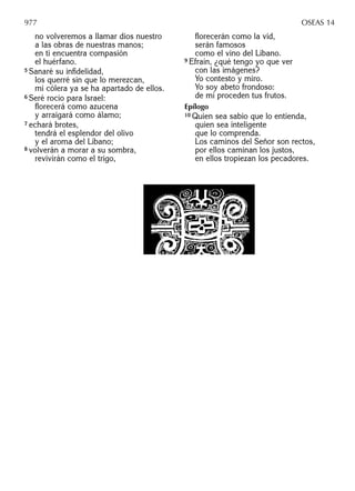 La biblia-de-nuestro-pueblo