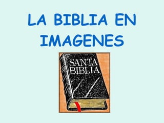 LA BIBLIA EN IMAGENES 