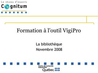 Formation à l’outil VigiPro  La bibliothèque Novembre 2008 