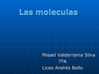 Misael Valderrama Silva 7ºA Liceo Andrés Bello 