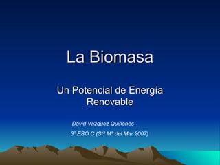 La Biomasa Un Potencial de Energía Renovable David Vázquez Quiñones 3º ESO C (Stª Mª del Mar 2007) 