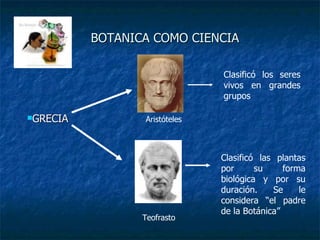 BOTANICA COMO CIENCIA ,[object Object],Clasificó los seres vivos en grandes grupos Clasificó las plantas por su forma biológica y por su duración. Se le considera “el padre de la Botánica” Aristóteles Teofrasto 