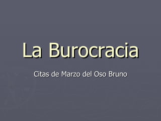 La Burocracia Citas de Marzo del Oso Bruno 