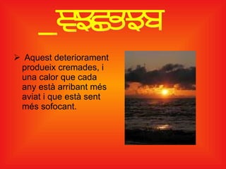 Aquest deteriorament produeix cremades, i una calor que cada any està arribant més aviat i que està sent més sofocant. Efectes 