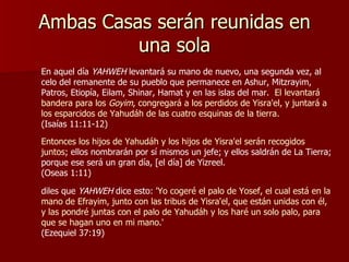 Ambas Casas serán reunidas en una sola En aquel día  YAHWEH  levantará su mano de nuevo, una segunda vez, al celo del remanente de su pueblo que permanece en Ashur, Mitzrayim, Patros, Etiopía, Eilam, Shinar, Hamat y en las islas del mar.  El levantará bandera para los  Goyim , congregará a los perdidos de Yisra'el, y juntará a los esparcidos de Yahudáh de las cuatro esquinas de la tierra.  (Isaías 11:11-12) Entonces los hijos de Yahudáh y los hijos de Yisra'el serán recogidos juntos ; ellos nombrarán por sí mismos un jefe; y ellos saldrán de La Tierra; porque ese será un gran día, [el día] de Yizreel.  (Oseas 1:11) diles que  YAHWEH  dice esto:  'Yo cogeré el palo de Yosef, el cual está en la mano de Efrayim, junto con las tribus de Yisra'el, que están unidas con él, y las pondré juntas con el palo de Yahudáh y los haré un solo palo, para que se hagan uno en mi mano.'   (Ezequiel 37:19) 