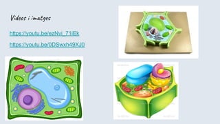 Videos i imatges
https://youtu.be/ezNvi_71iEk
https://youtu.be/0DSwxh49XJ0
 