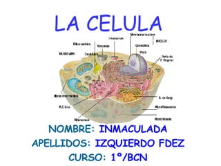 LA CELULA NOMBRE:  INMACULADA APELLIDOS:  IZQUIERDO FDEZ CURSO:  1º/BCN 