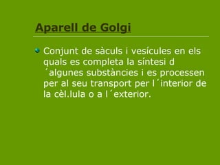 Aparell de Golgi Conjunt de sàculs i vesícules en els quals es completa la síntesi d´algunes substàncies i es processen per al seu transport per l´interior de la cèl.lula o a l´exterior. 