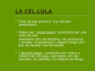 LA CÈL.LULA Tota cèl.lula prové d´una cèl.lula preexistent. Poden ser  unicel.lulars , constituïts per una sola cèl.lula, exemples com els bacteris, els protozous ( ameba i el parameci) i alguns fongs com ara els llevats i les floridures. I  pluricel.lulars , constituïts per milers o milions de cèl.lules, exemples com els animals, les plantes i la majoria de fongs. 
