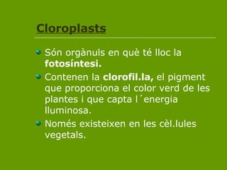 Cloroplasts Són orgànuls en què té lloc la  fotosíntesi. Contenen la  clorofil.la,  el pigment que proporciona el color verd de les plantes i que capta l´energia lluminosa.  Només existeixen en les cèl.lules vegetals. 